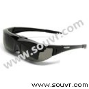 Vuzix Wrap 310 PDF下載資料-中文版